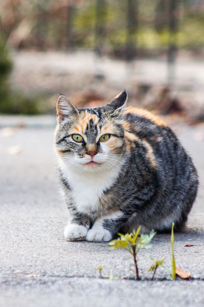 Photograph by Юлия Сысоева