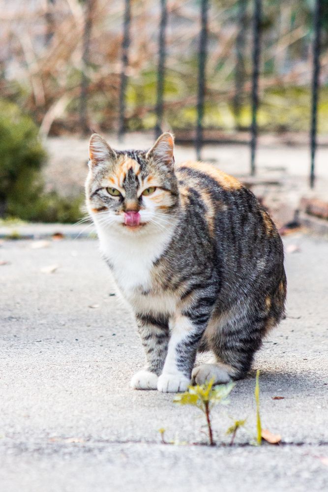 Photograph by Юлия Сысоева