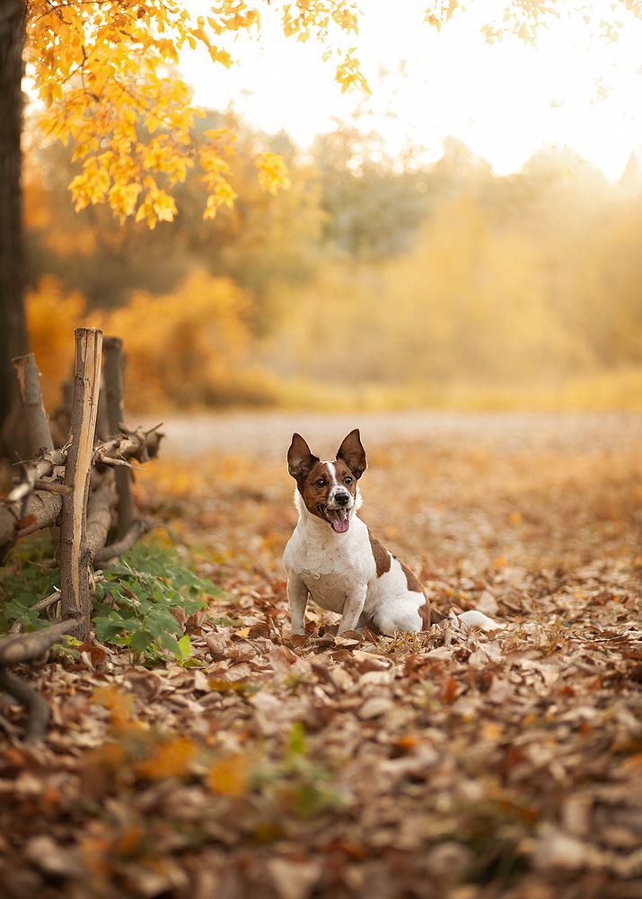 Photograph by Елена Алешечкина