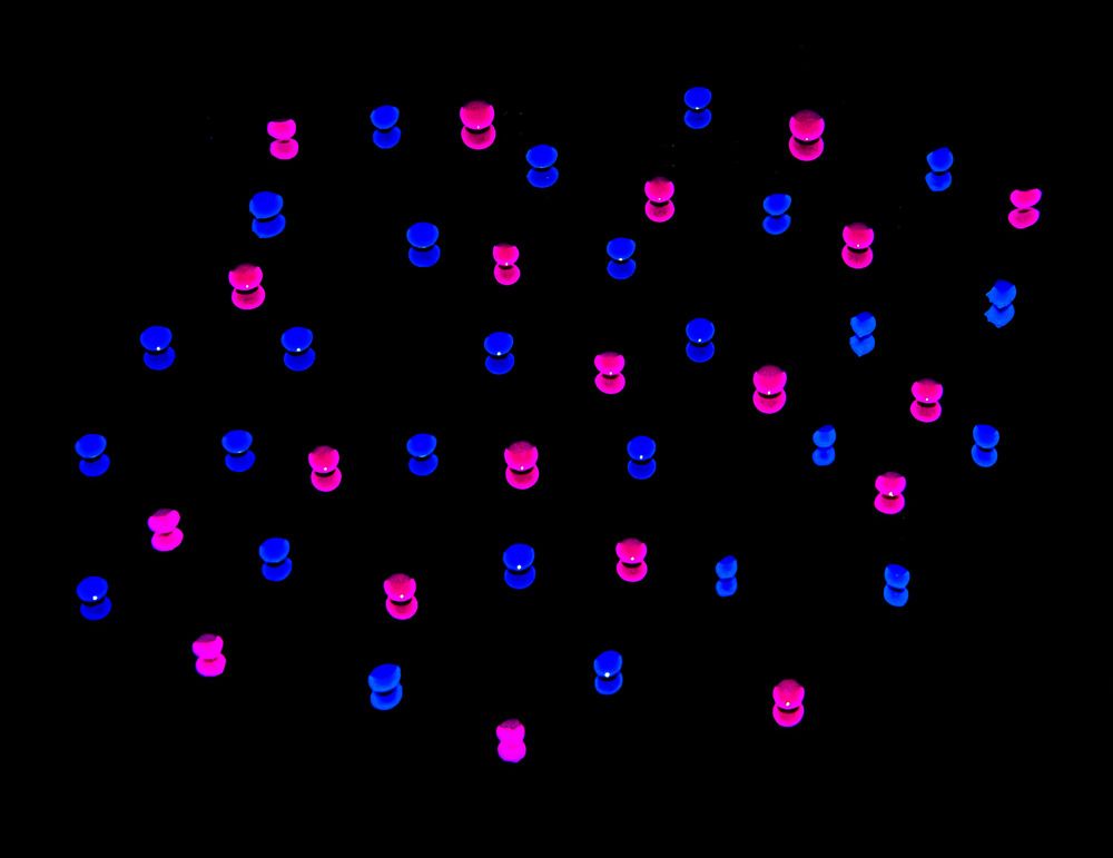 Photograph by Михаил Еремеев