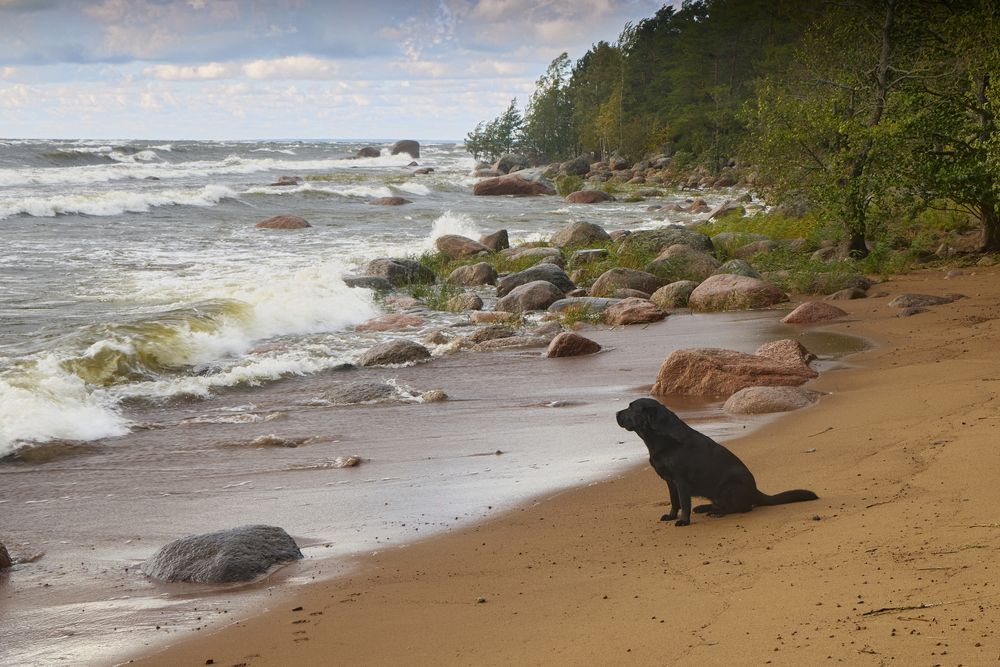 Фотография автора Денис Голенков