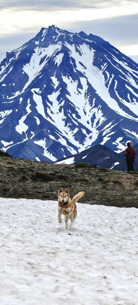Фотография автора Екатерина