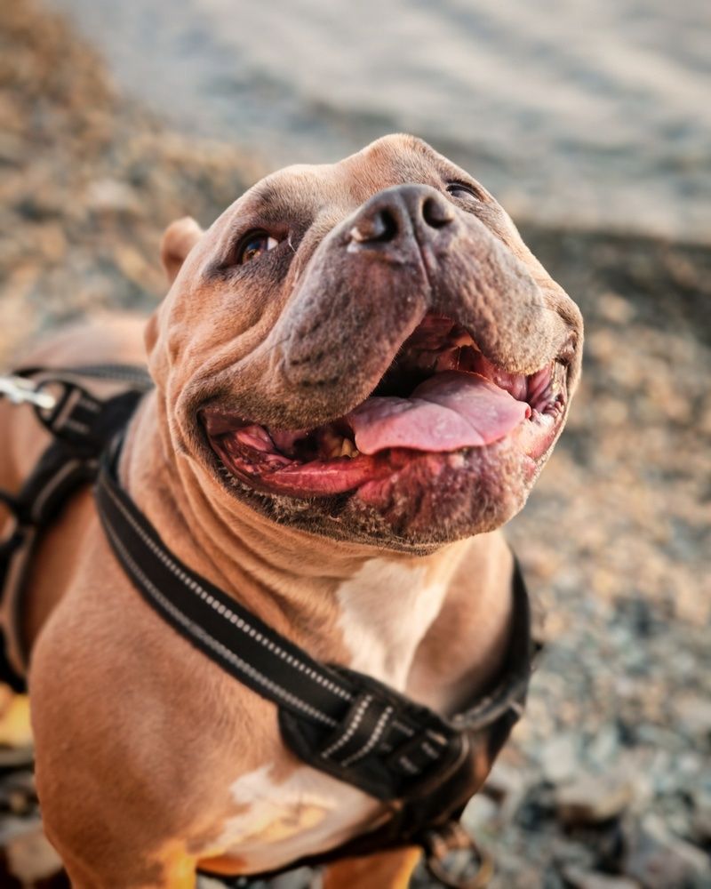 Фотография автора Екатерина