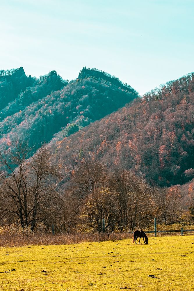 Photograph by Александр Хитров