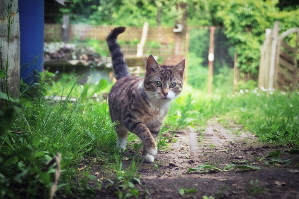 Фотография автора Юлия Кранина