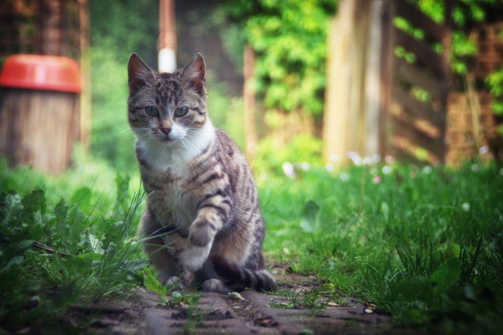 Фотография автора Юлия Кранина