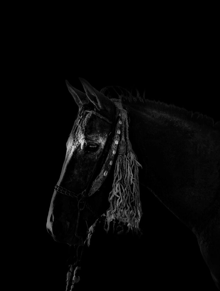 Photograph by MOHAMMED BRZAN