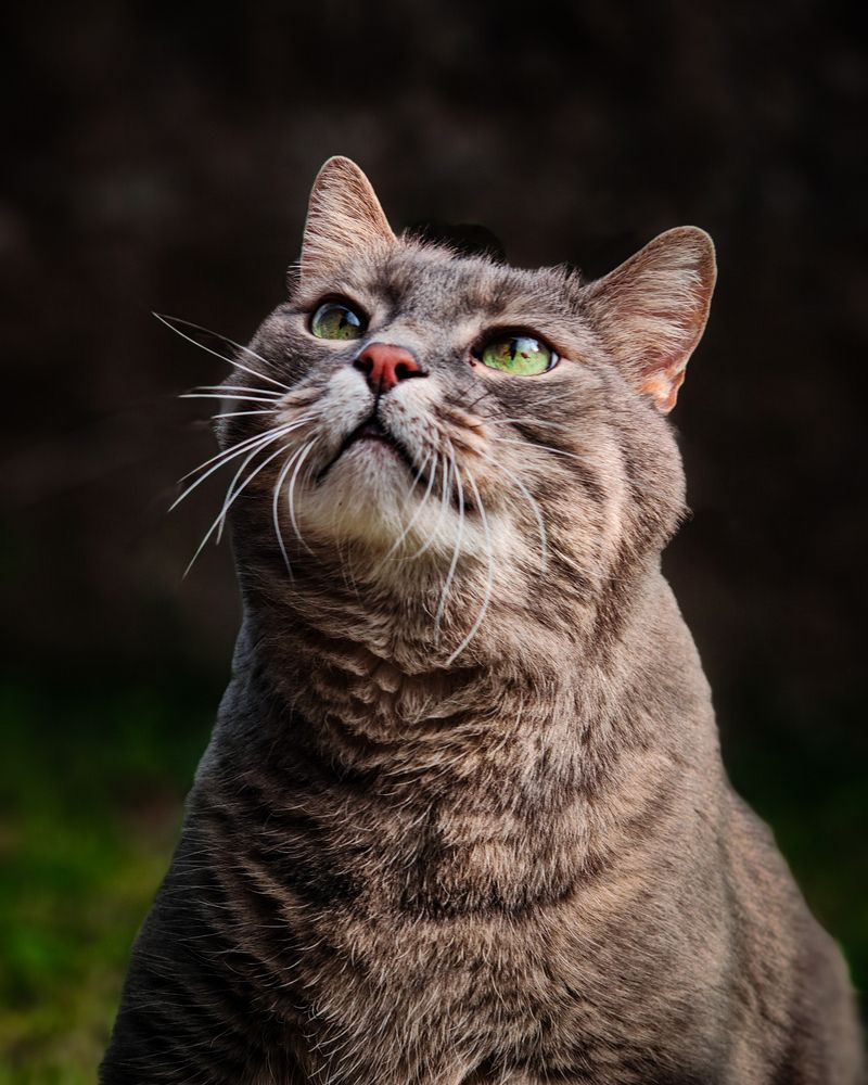 Фотография автора Andraz