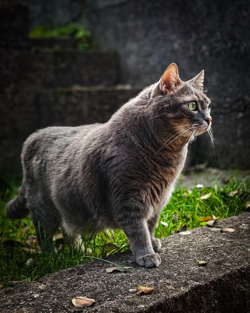 Фотография автора Andraz