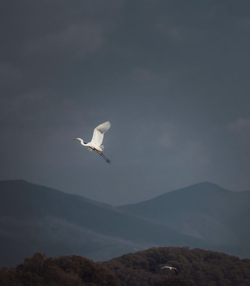 Photograph by Lana Kamal