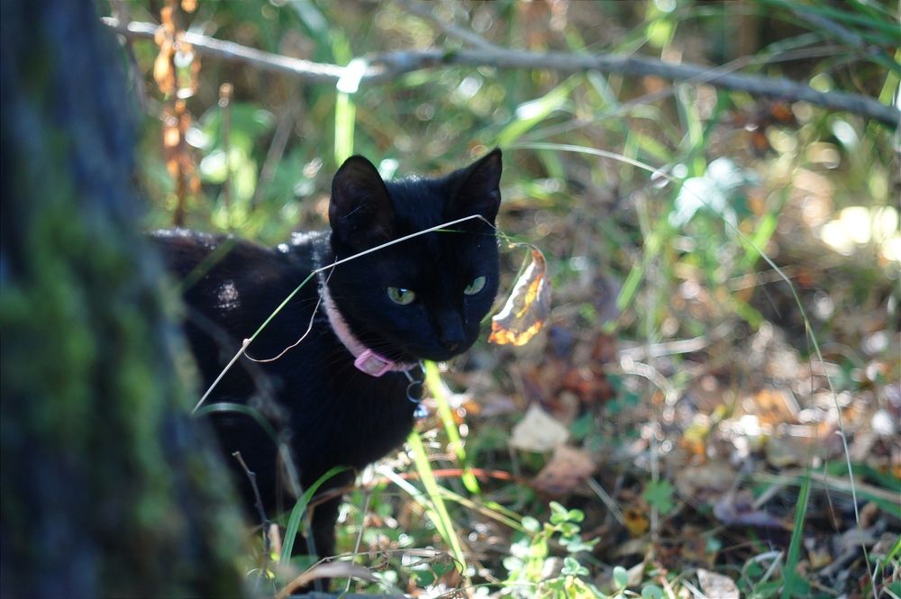 Photograph by Anastasia Brus