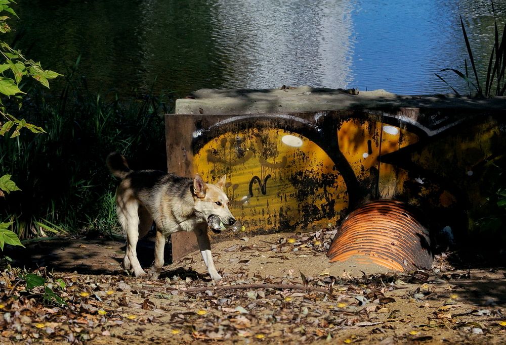 Фотография автора Е лена Е