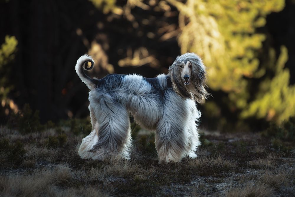 Photograph by Evgeniya Stafeeva