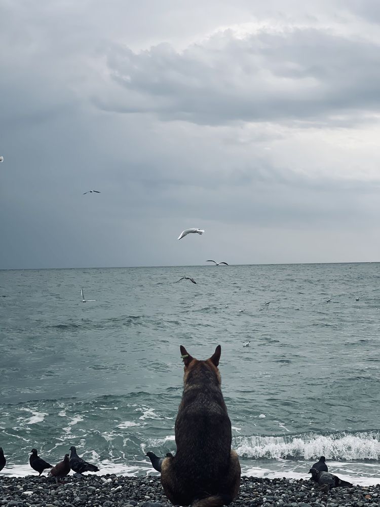 Photograph by Вера Сорокина