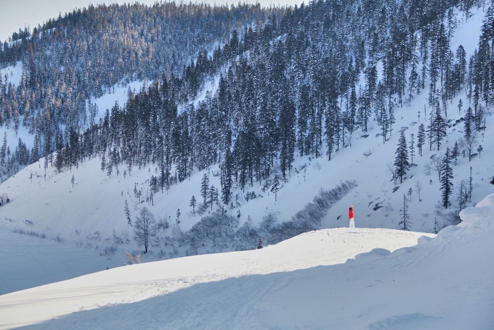 Фотография автора Наталия Мащенко