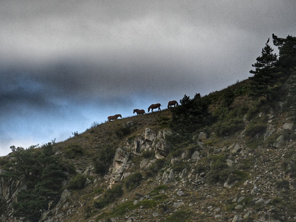 Photograph by Сергей Козлов