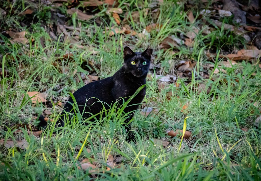 Photograph by Анатолий Костерев