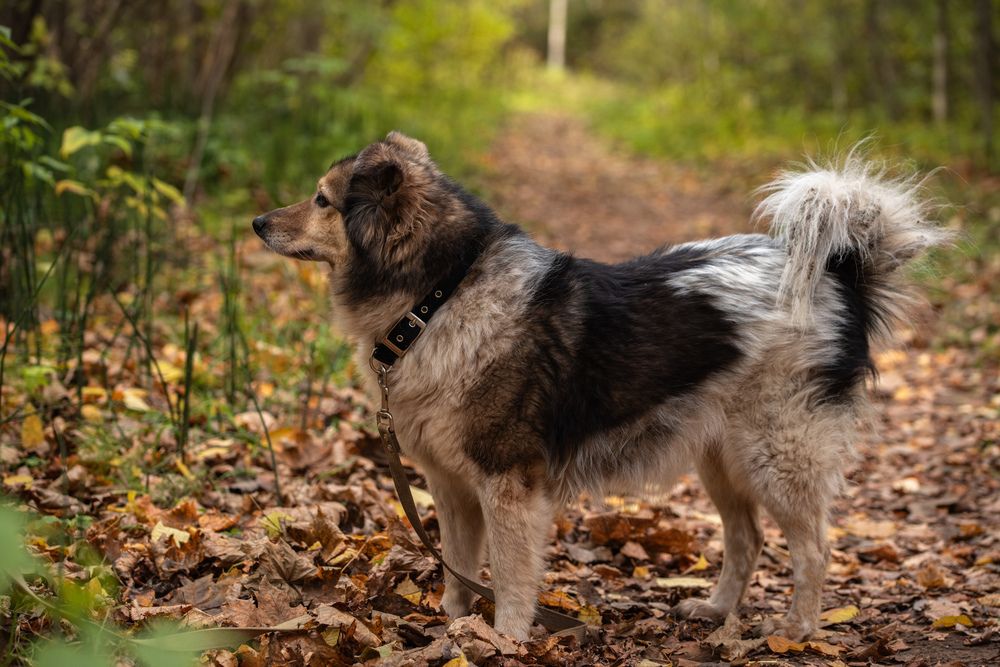 Photograph by Ксения Шилина