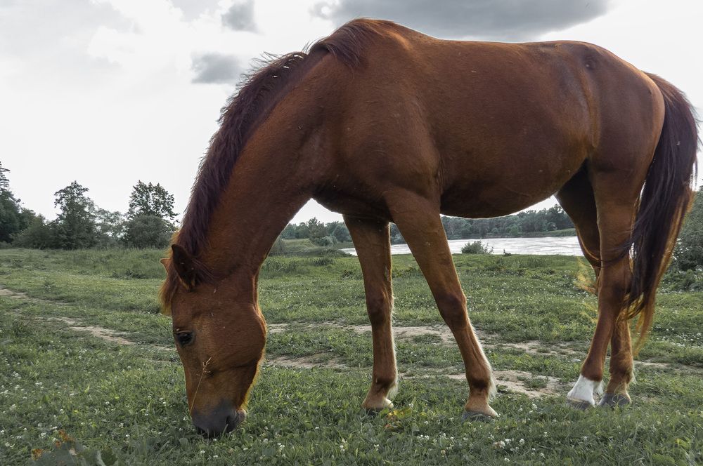Photograph by Цветков Сергей