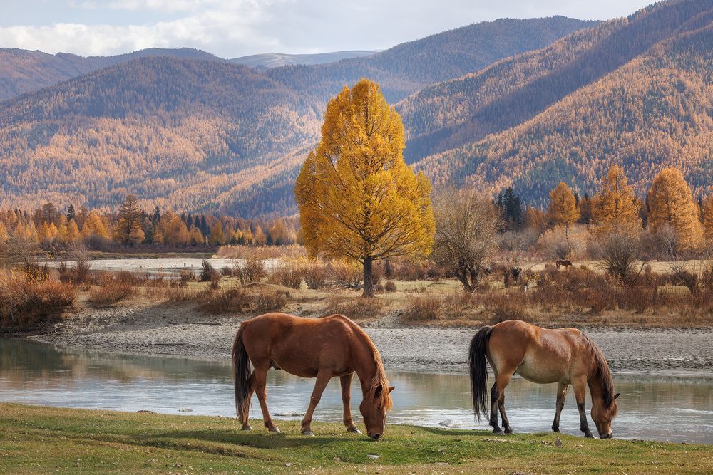 Photograph by Морозов Сергей