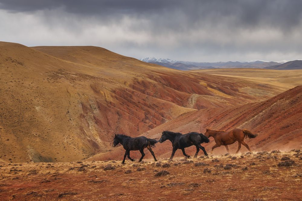 Photograph by Морозов Сергей