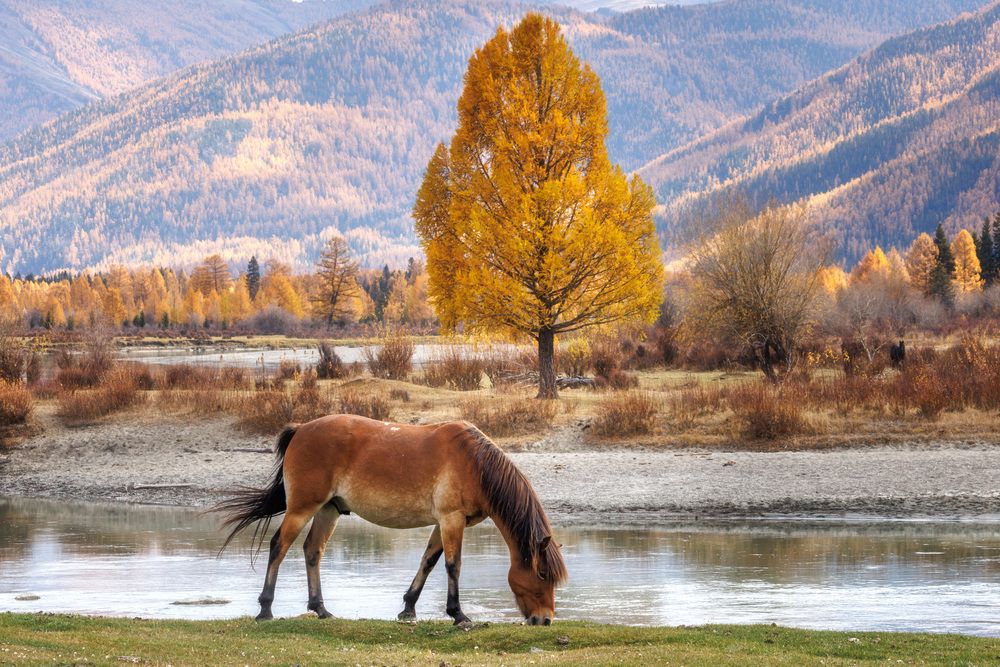 Photograph by Морозов Сергей