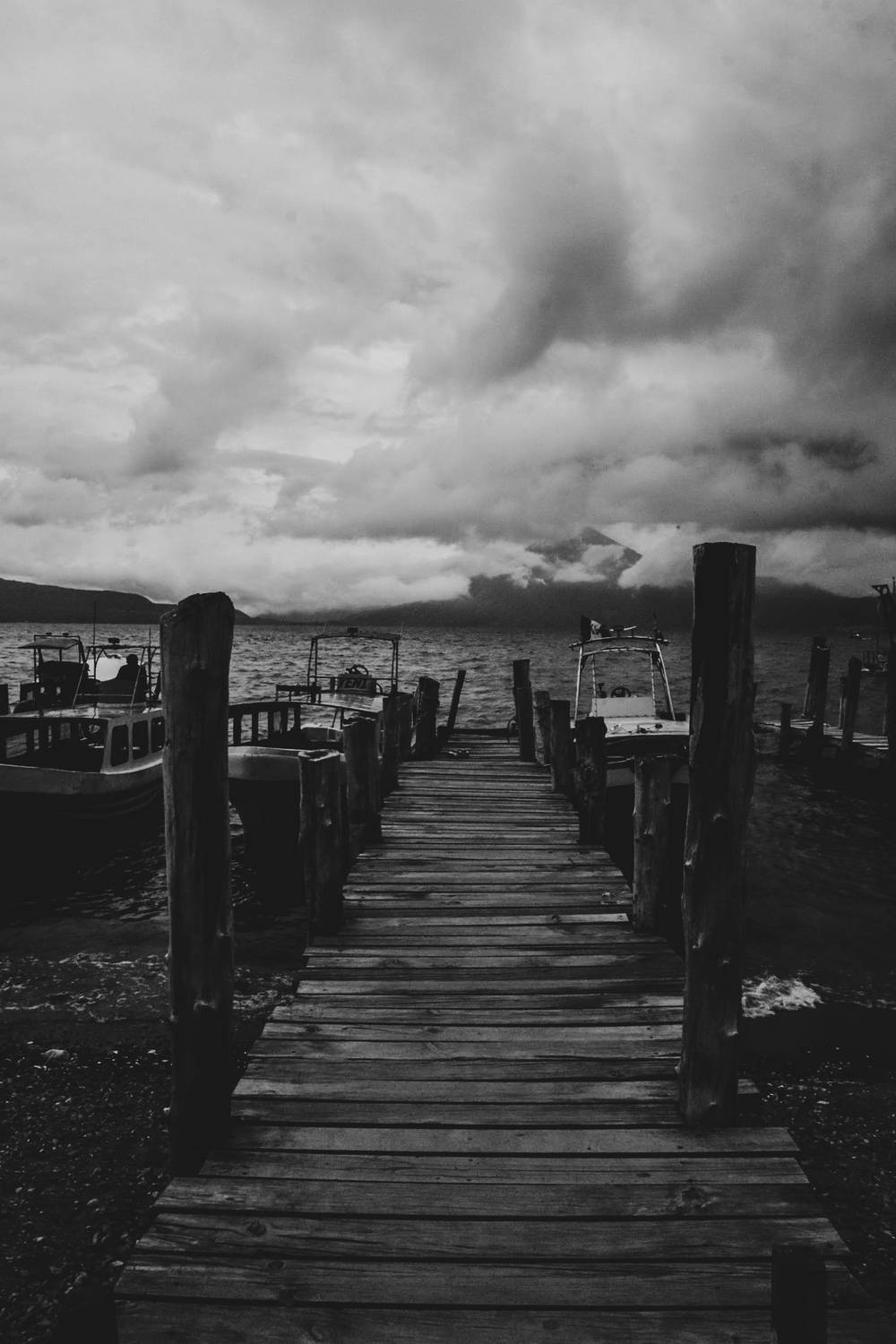 Photo #12798540