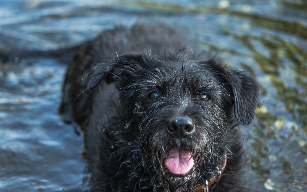 Photograph by Жора Житников