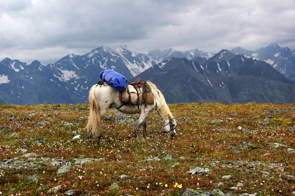 Фотография автора Кухта Мария