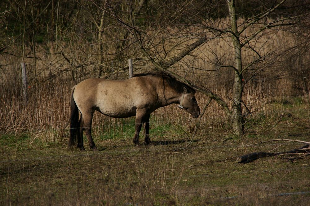 Фотография автора Sergej Roor