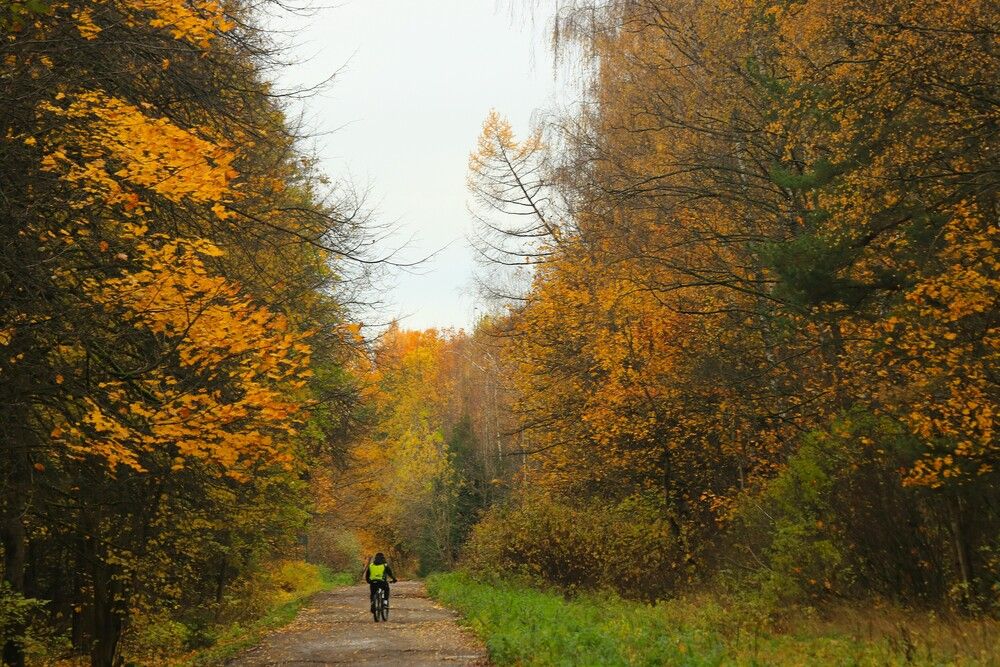 Photograph by Гагик Саркисян