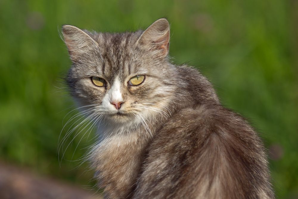 Photograph by Алексеев Сергей