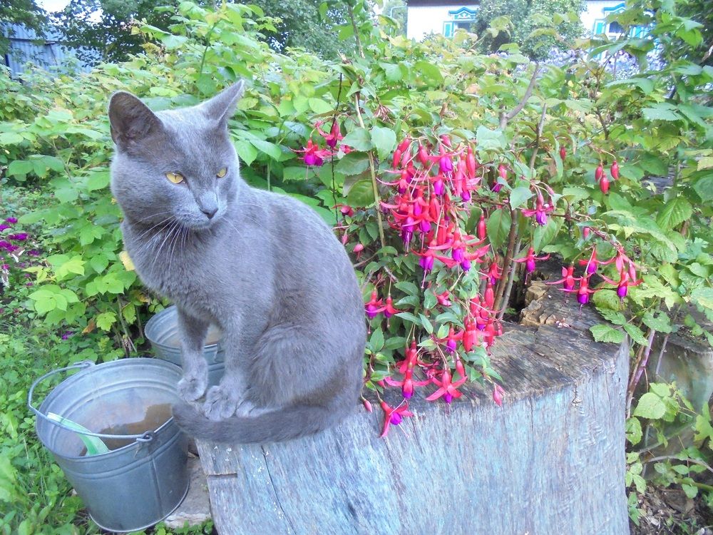 Photograph by Лилия Исхакова