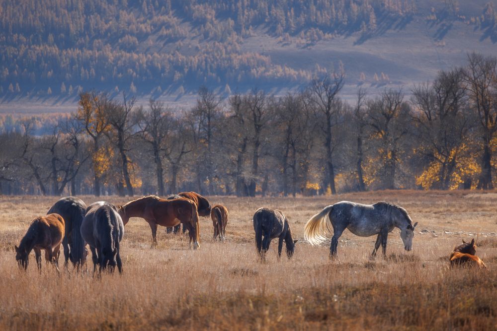 Photograph by Морозов Сергей