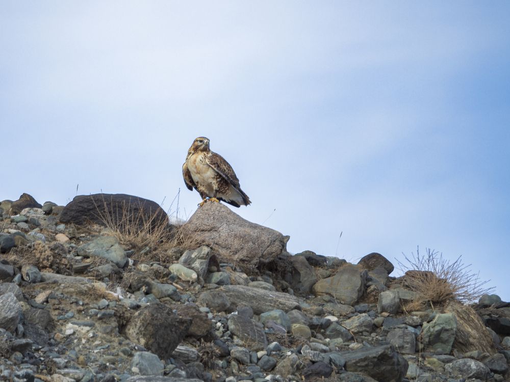 Photograph by Надежда Михайлина