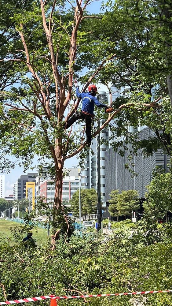 Фотография автора Lawrens Tan