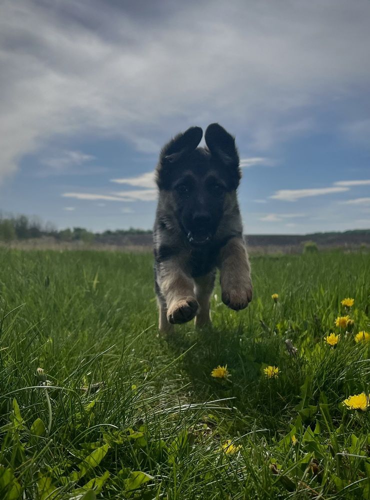 Photograph by Марина Козлова