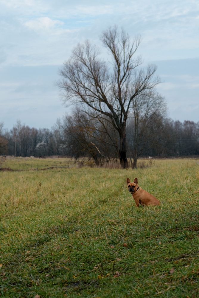Photograph by Юлия Шестопалова