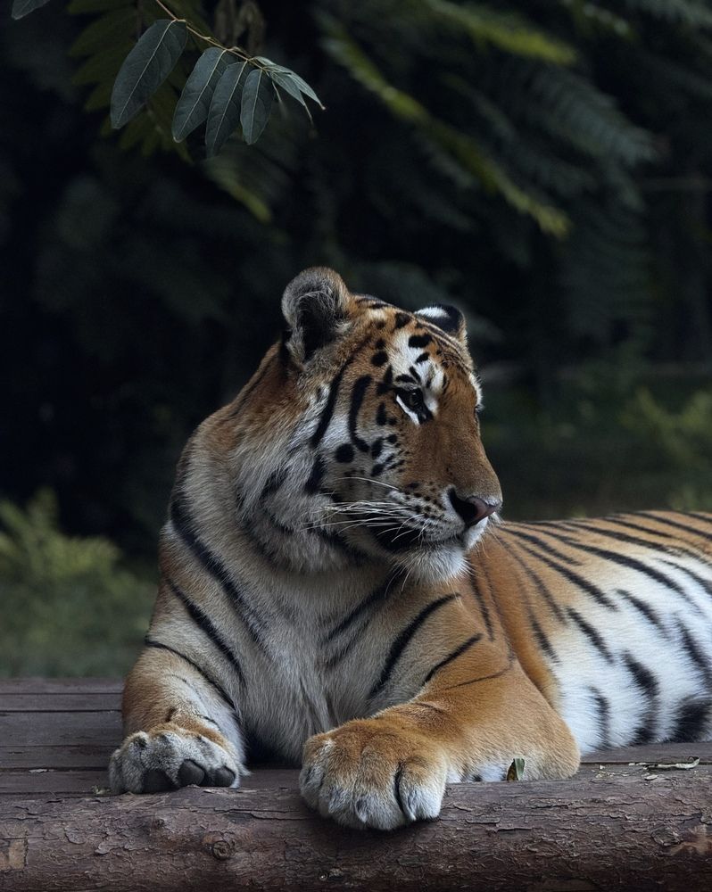 Photograph by Ксения Литвиненко