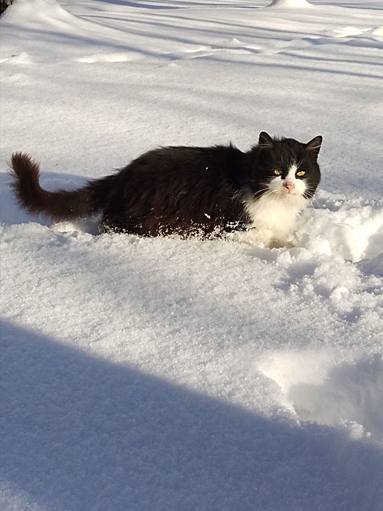 Photograph by Ирина Семенович