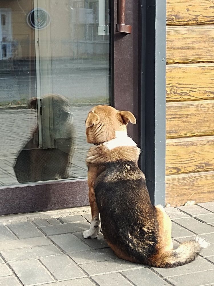 Photograph by Ирина Семенович