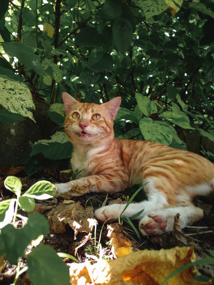 Photograph by Kumaran Dinushan