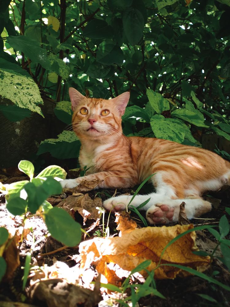 Photograph by Kumaran Dinushan