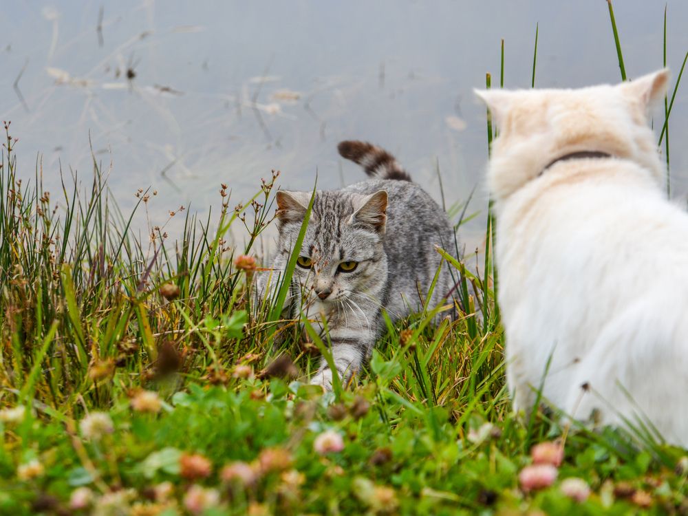 Photograph by Анастасия Гурова