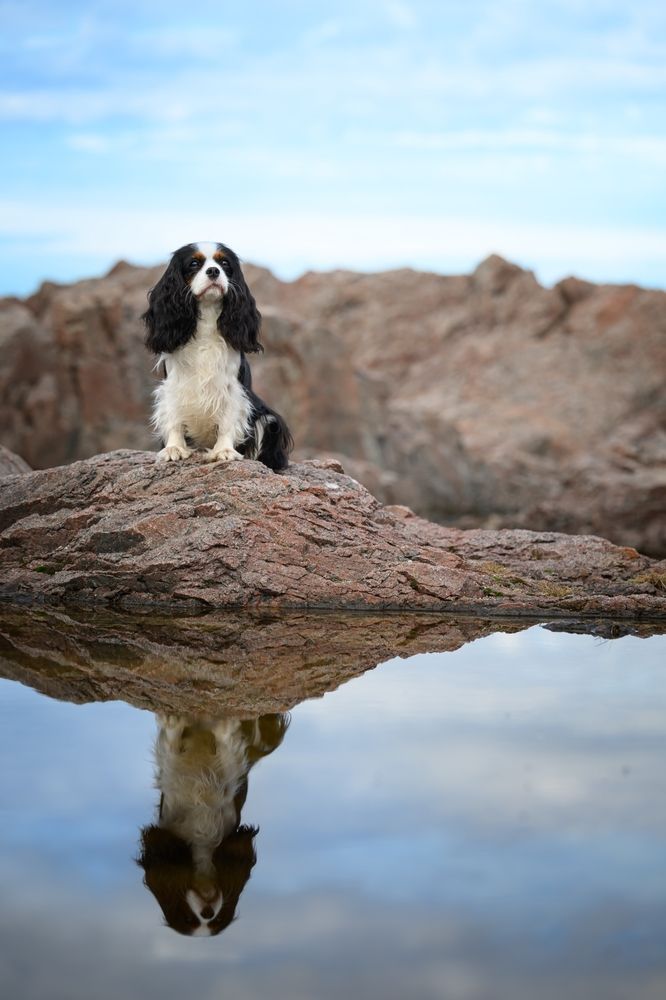 Photograph by Дмитрий Шелковой