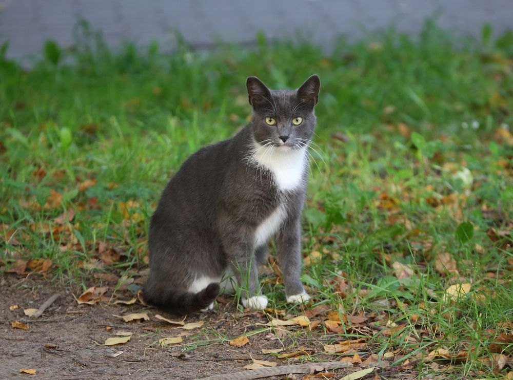 Photograph by Станислав Вершинин