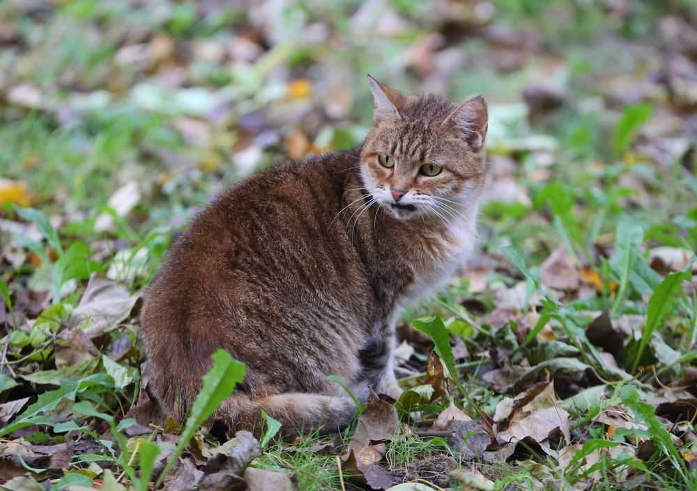 Photograph by Станислав Вершинин