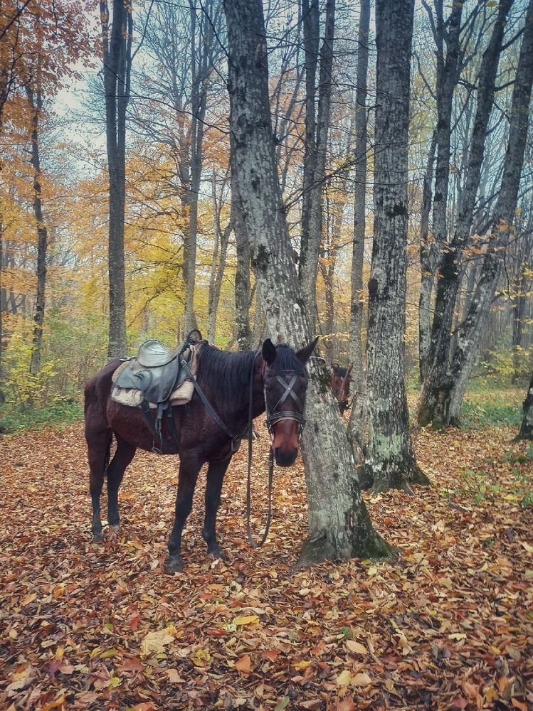 Photograph by ТАТЬЯНА/-+/-я ДОЛГУШЕВА