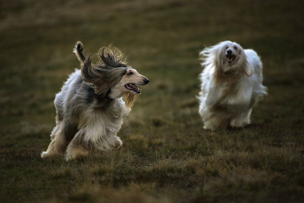 Photograph by Evgeniya Stafeeva