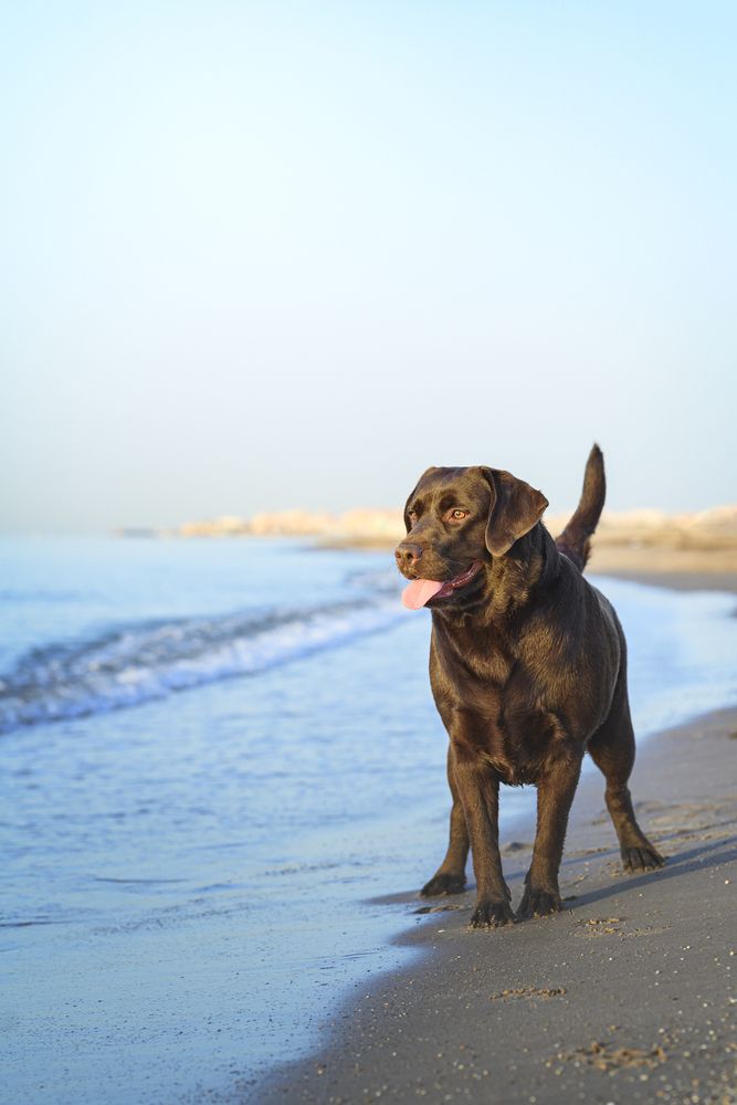 Photograph by Natalia Hidalgo